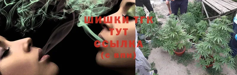 Каннабис SATIVA & INDICA  Полярные Зори 